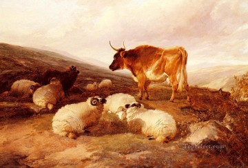 Béliers et a taureau dans a highland Peinture à l'huile